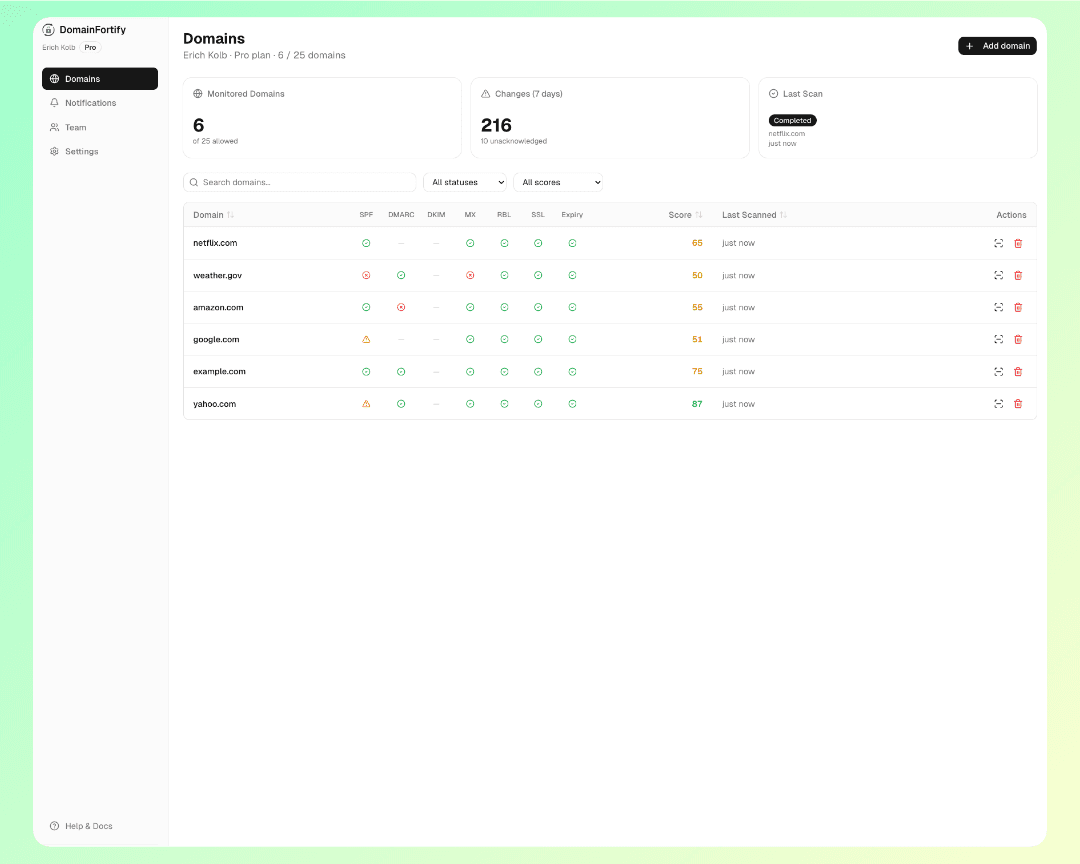 DomainFortify dashboard showing domain health scores and DNS check results